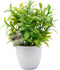 OFFIDIX Mini Plastic Artificial Eucalyptus Leaves, Faux Plant with Pots for Home and Office Decor