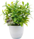 OFFIDIX Mini Plastic Artificial Eucalyptus Leaves, Faux Plant with Pots for Home and Office Decor