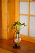 Plant Terrarium, Hydroponic Vases for Home Decoration, Modern Creative Bird Terrarium Stand, Ideal Gifts