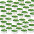 fclayvts 100 Pack 4 Scented Tealight Candles Hours, Spring Aromatherapy Candles for Votive Home, Wedding Holiday