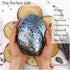 Polished Abalone Shell, 4.5" to 5.5", in Gift Box for Smudging, Cleansing, Meditation, Home Décor - 100% Natural Shell