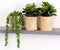 VINSUNI Artificial Succulents with Pots - Set of 3 Small Fake Plants for