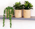 VINSUNI Artificial Succulents with Pots - Set of 3 Small Fake Plants for
