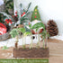 (5 KAXYEW Desktop Glass Plant Propagation Station Test Tube Plant Terrarium in Wooden Stand for Hydroponic Plants