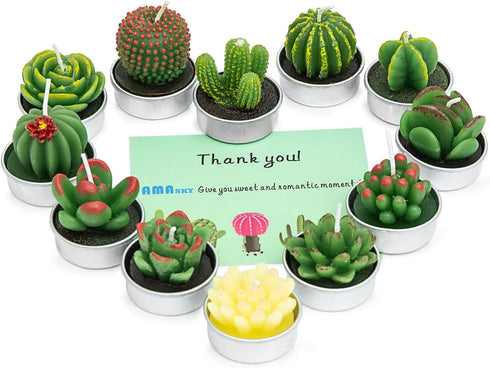 Handmade Succulent Cactus Candles for Birthday Party, Wedding, Spa Home Decoration (12 Packs-2)