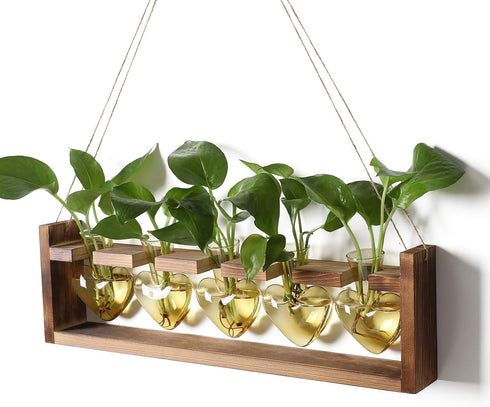 Plant Terrarium Hanging Propagation Stations Gift for Women Air Plants Holder with