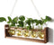 Plant Terrarium Hanging Propagation Stations Gift for Women Air Plants Holder with
