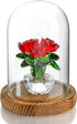 ZEERSHEE Small Cloche Glass Dome with Wooden Base, Glass Display Dome Bell
