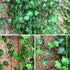 GPARK 84ft Artificial Ivy Garland - 12 Pack, 82 inch Hanging Leaves for Wedding, Party, Garden, Outdoor Decor