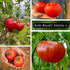 Packet (1) Sow Right Seeds - Marglobe Tomato Seeds for Planting - Non-GMO Heirloom with Instructions to Plant and Grow