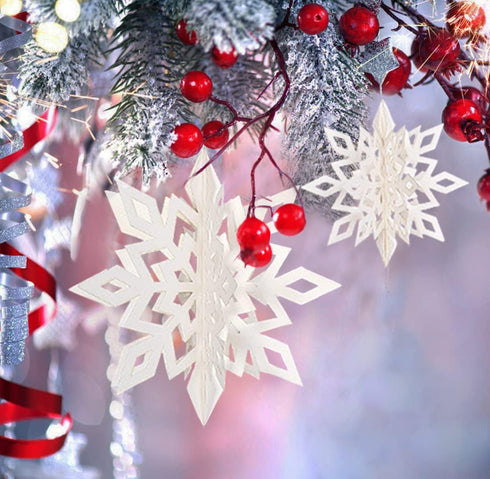 Winter Wonderland Frozen Party Decorations, 12pcs Hanging 3D Paper Snowflakes and Snowflake Garland for Christmas