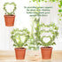 3 Set Hoya Trellis Size Indoor Plants Flower Support Stakes Round or Heart Metal Trellis Garden Tool Accessories