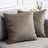 lalaLOOM Set of 2 Velvet Throw Pillow Covers, 18x18 Decorative Square Soft Accent Cases for Home Decor, Taupe