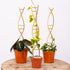 Yohsnor 3PCS DNA Plant Trellis Indoor and Outdoor - Lightweight Metal Trellis