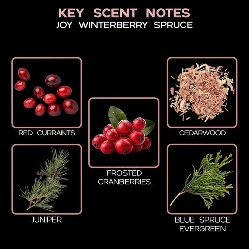 LOVSPA Reed Diffuser Set - Joy Winterberry Spruce Scented Oil Diffuser with Sticks for Home Fragrance
