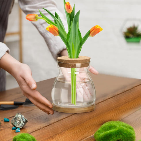 6 3 Beeveer Pcs Plants Propagation Station Separated Desktop Plant Terrarium with Wood Lid and Stand, Sizes Glass