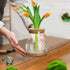 6 3 Beeveer Pcs Plants Propagation Station Separated Desktop Plant Terrarium with Wood Lid and Stand, Sizes Glass