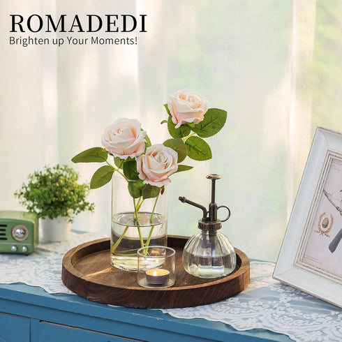Wooden Decorative Tray Candle Holder: Romadedi Round Wood Tray Home Decor, Small Rustic Trays for Coffee Table