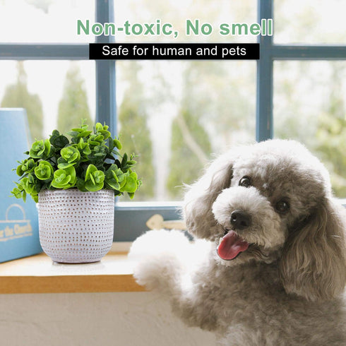 Artificial Lysimachia Plants in Ceramic Planter, Cute Fake Succulent Flowers for Home Office Table Desk Decor, Living
