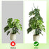 PERSZEN 15 Pack Stackable Plant Support Stakes, Garden Trellis for Climbing Plants Indoor and Outdoor Use, Plant