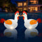 Floating Pool Lights, Inflatable Chicken Solar Pool Lights that Float, IP68 Waterproof