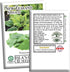100+ Packet, New Zealand Spinach Seeds for Planting, Heirloom Seeds Per (Isla's Garden Seeds), Non GMO Seeds, Botanical