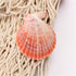 Rosoz Nature Fish Net Wall Decoration with Shells, Ocean Themed Wall Hangings for Party Decor
