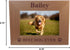 Custom Best Dog Ever - Laser Engraved Natural Alder Wood Picture Frame - Add Your Dog's Name (4x6-inch Horizontal)