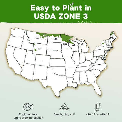 3 32 Lush&Dew USDA Zone Seed Bank, Gardening Gifts for Women Men, Varieties Non-GMO Heirloom Seeds for Planting