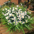Artificial Daisies Flowers, 4 Bundles UV Resistant Faux Plants for Indoor Outdoor Decor