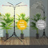 4,8,12,16,20 36 24"-64" Grow Light with Stand and Timer Hr, Watt Standing Tall Plant Light for Bonsai Tree, Seed