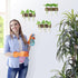 3 3 XXXFLOWER Wall Mounted Plant Terrarium with Wooden Stand PCS Hanging Planter Propagation Station with Glass Tubes