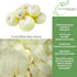 500+ Crystal White Wax Onion Seeds (Allium cepa) Non-GMO Heirloom Seeds by Islas Garden Seeds, Small Pearl-Style Onions