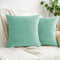 HWY 50 Aqua Green Velvet Throw Pillow Covers 20x20 Inch, Pack of 2 Soft Cozy Solid Decorative Cushion Cases for Couch