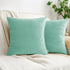 HWY 50 Aqua Green Velvet Throw Pillow Covers 20x20 Inch, Pack of 2 Soft Cozy Solid Decorative Cushion Cases for Couch