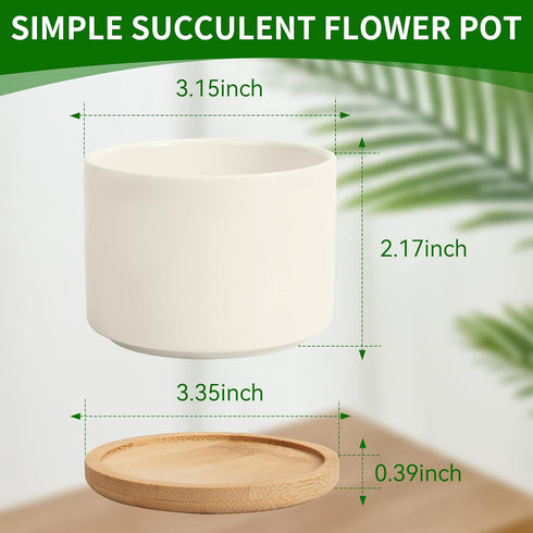 ZOUTOG Mini Succulent Pots, White 3.15 inch Ceramic Flower Planter Pot with Bamboo Tray, Pack of 6 - Plants Not Included