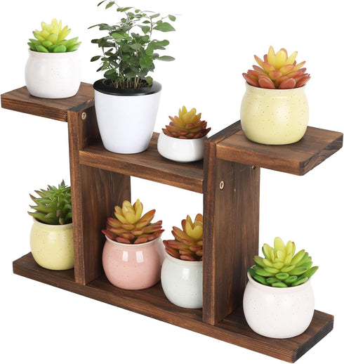 Wood Desktop Plant Stand Indoor - Windowsill Plant Shelf, Small Tabletop Holder for Succulent Herb Display Rack