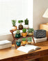2 Tier Small Wood Plant Stand for Desktop, X-Frame Windowsill Plant Shelf Indoor, Table Top Mini Ladder Flower Pot