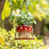 3.9inch Mushroom Decor for Outdoor Garden: Gardening Plant Gifts for Women Mother Plant Lovers - Opening Cute Smiley