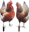 Happyyami 2Pcs Acrylic Chicken Yard Art - Decorative Hen Lawn Stakes for