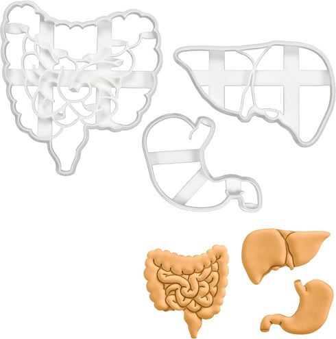 Set of 3 Gastrointestinal Anatomy Cookie Cutters (Intestines, Liver, Stomach) - Bakerlogy