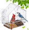 Window Bird Feeders with Strong Suction Cups - Clear Feeders for Outside, Easy to Clean, Perfect for Garden Viewing