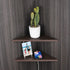 evron Corner Mounting Shelf Set of 2 – Easy to Install Floating Wall Shelves with Durable Waterproof ABS Plastic
