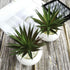 TUOKORGREEN Small Artificial Plants in Ceramic Pots, Faux Greenery Set of 2, 3.5" x 6.7"