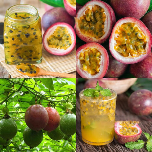 15+ Tropical Passion Fruit Seeds for Planting Outdoors-Non GMO Passiflora for Bonsai
