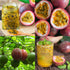 15+ Tropical Passion Fruit Seeds for Planting Outdoors-Non GMO Passiflora for Bonsai