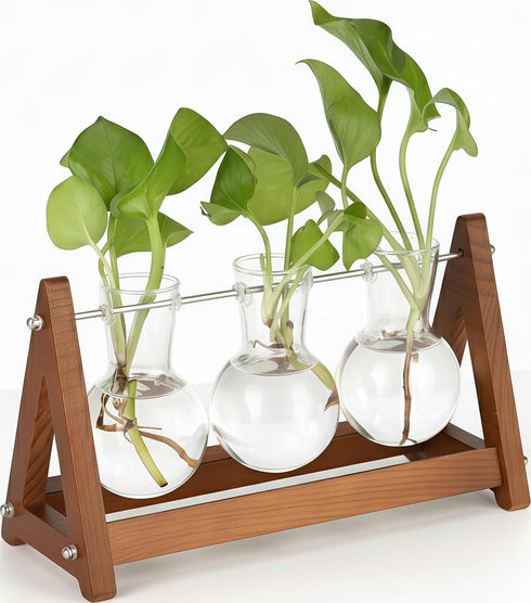 Plant Terrarium with Wooden Stand, 3 Bulb Glass Vase Metal Holder, Retro
