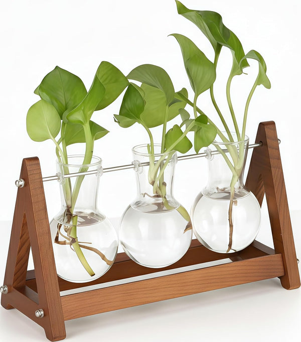 Plant Terrarium with Wooden Stand, 3 Bulb Glass Vase Metal Holder, Retro