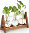 Plant Terrarium with Wooden Stand, 3 Bulb Glass Vase Metal Holder, Retro