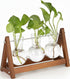 Plant Terrarium with Wooden Stand, 3 Bulb Glass Vase Metal Holder, Retro